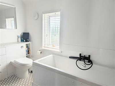 Picture 14